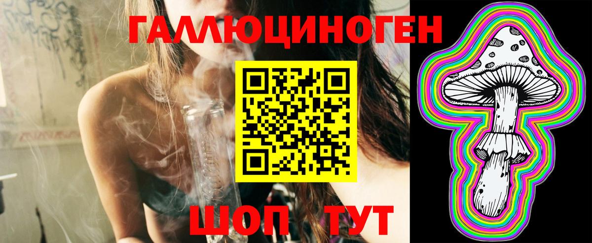 Псилоцибиновые грибы Psilocybe Калуга